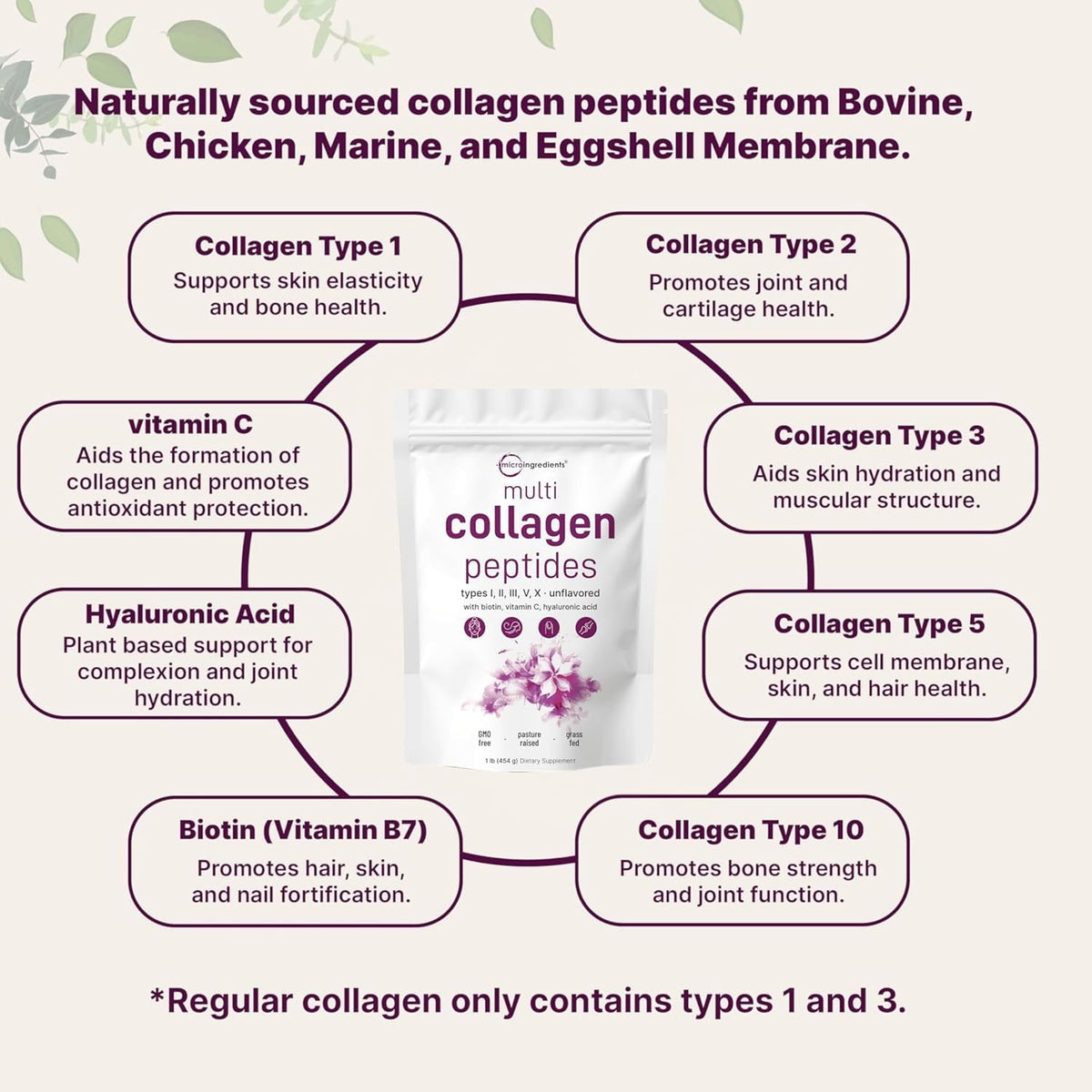 Micro Ingredients Multi Collagen Protein Powder, 2lb | Type I,II,III,V,X with Biotin, Hyaluronic Acid, Vitamin C - Unflavored Collagen Peptides