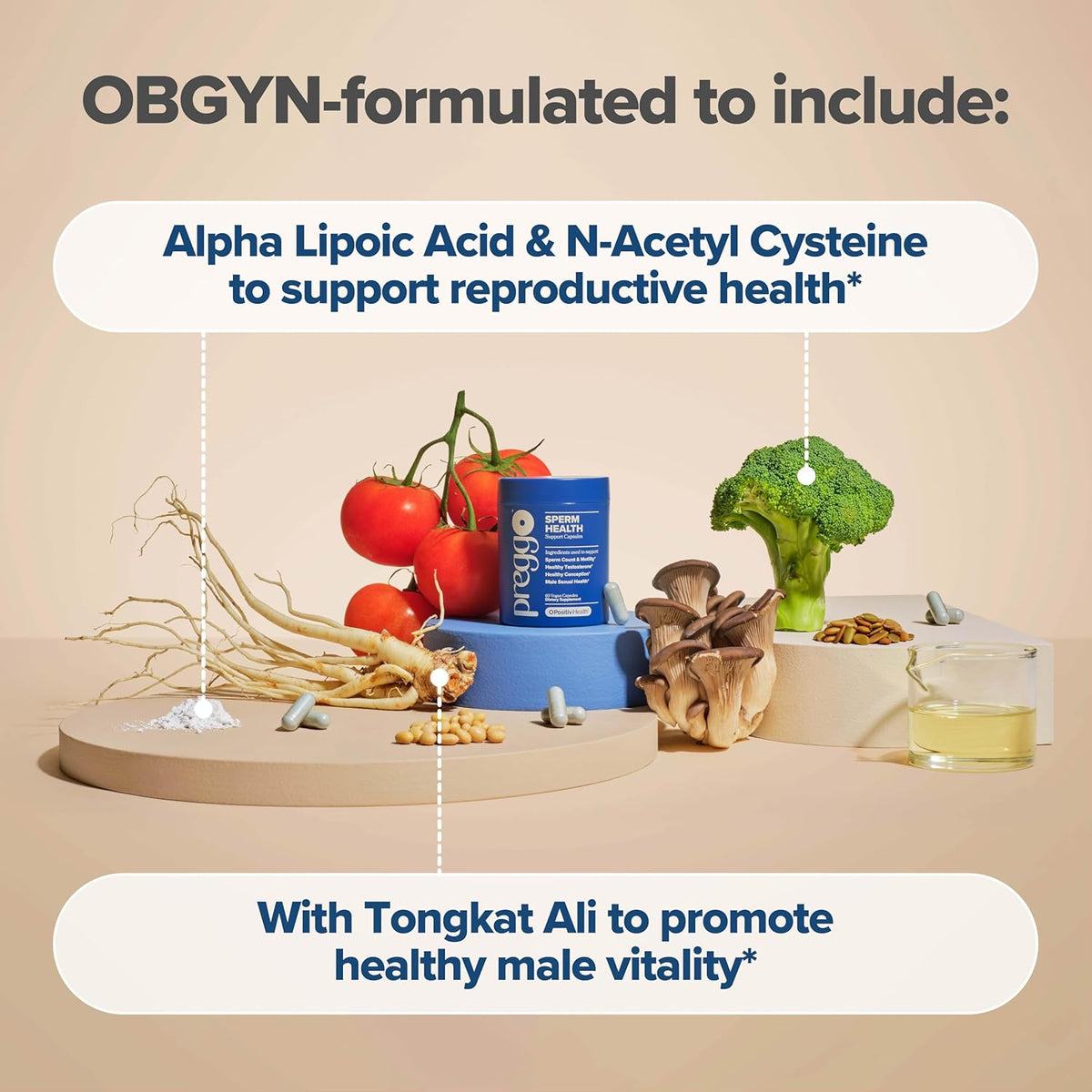 Sperm Health Capsules for Men - OBGYN-Formulated for Improved Sperm Count & Motility 60 Count (Pack of 1)-Shop