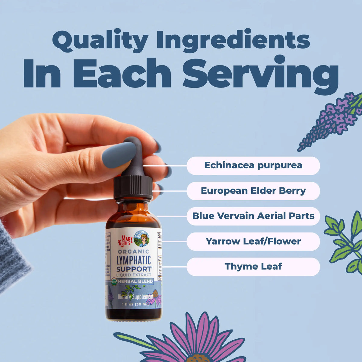 MaryRuth's Lymphatic Support Herbal Blend Liquid Drops - USDA Organic - Echinacea & Elderberry - Blue Vervain - Vegan - 30 Servings