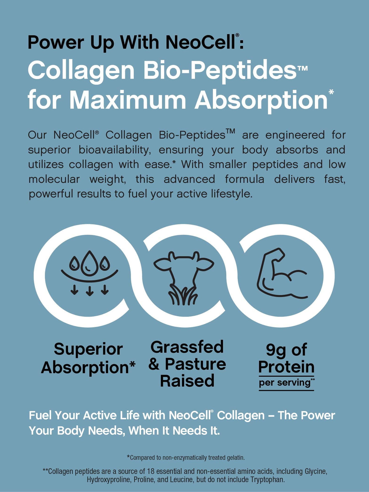 Collagen Bio-Peptides Powder | 22oz | Super Hair, Skin, Nails | Grassfed Protein Supplement | by NeoCell