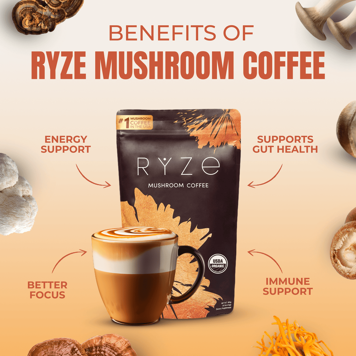 RYZE SUPERFOODS Mushroom Medium Roast Coffee USDA Organic with 6 Adaptogenic Mushrooms, USA Grown Instant Coffee for Better Energy, Focus Digestion Immunity with Lions Mane & Turkey Tail 30 Servings