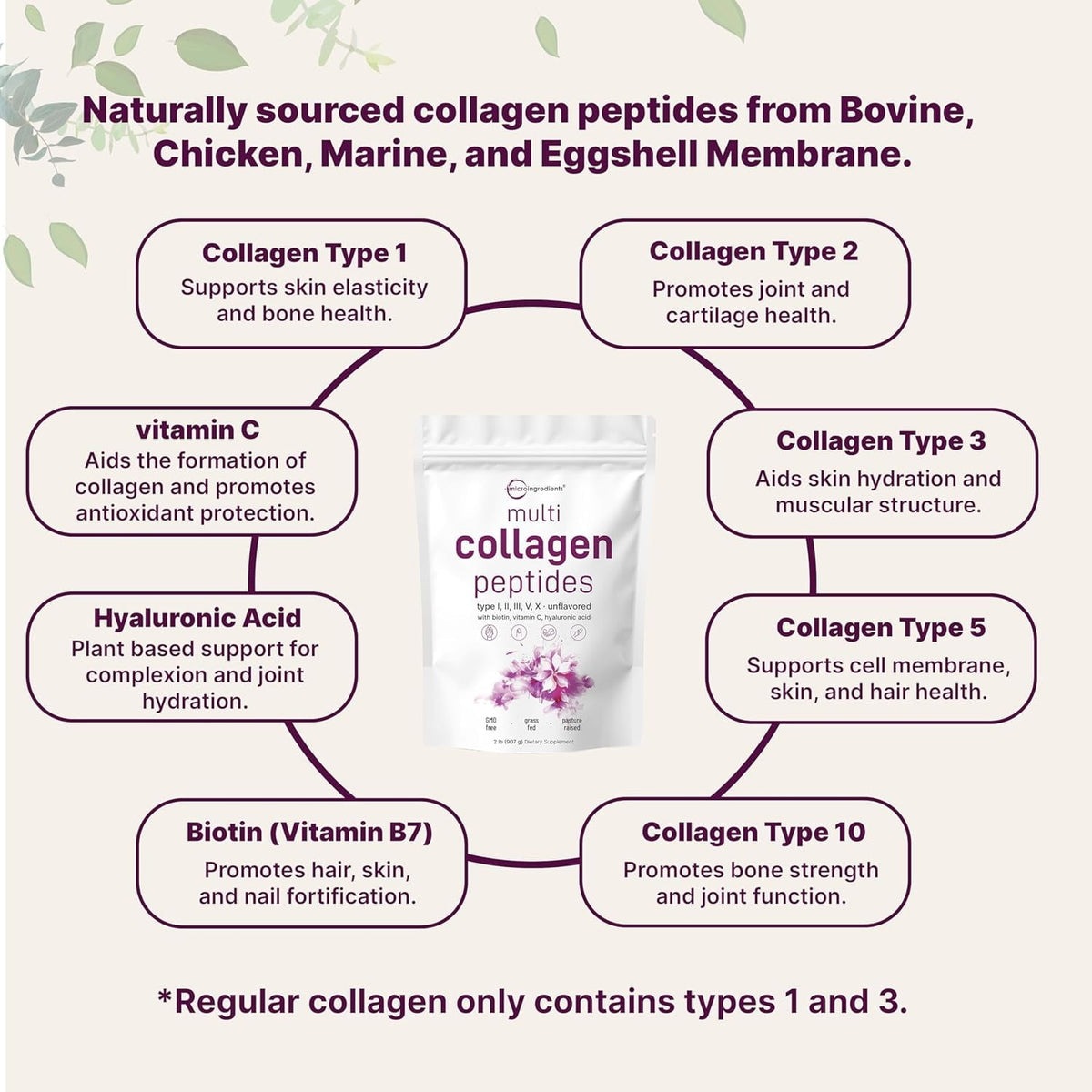 Micro Ingredients Multi Collagen Protein Powder, 2lb | Type I,II,III,V,X with Biotin, Hyaluronic Acid, Vitamin C - Unflavored Collagen Peptides