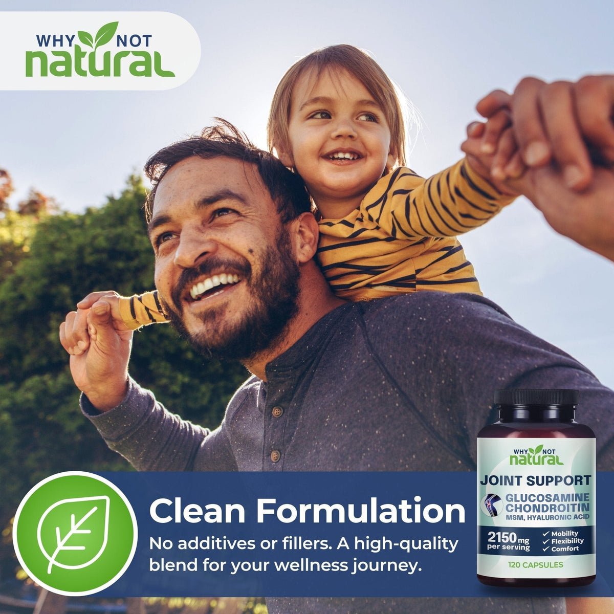 Glucosamine Chondroitin MSM, Joint Support